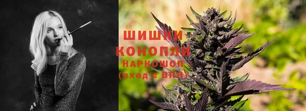 PSILOCYBIN Козловка