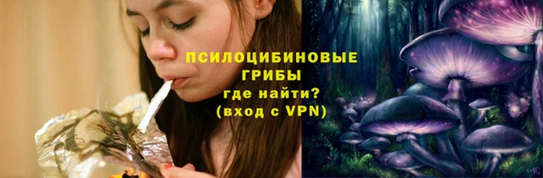 МДПВ Кодинск