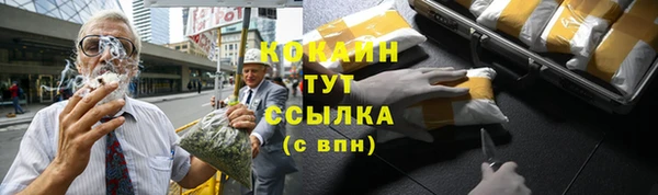PSILOCYBIN Козловка