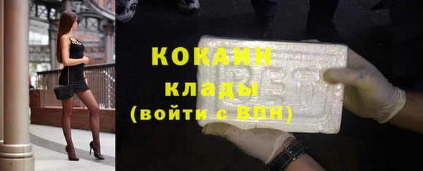 PSILOCYBIN Козловка