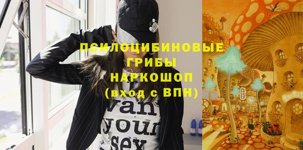 PSILOCYBIN Козловка
