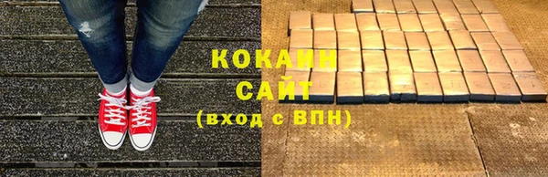 PSILOCYBIN Козловка