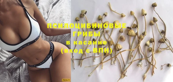 PSILOCYBIN Козловка