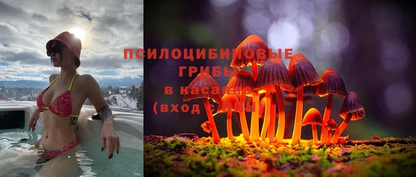 МДПВ Кодинск